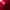 010-rdbt.jpg (879 bytes)