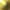 010-ylbt.jpg (883 bytes)